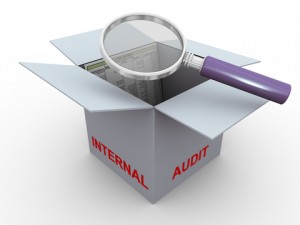 Internal Audit Software Nigeria