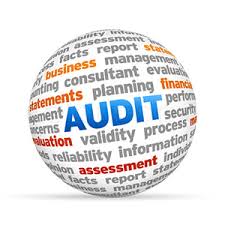 Audit Management Software Nigeria